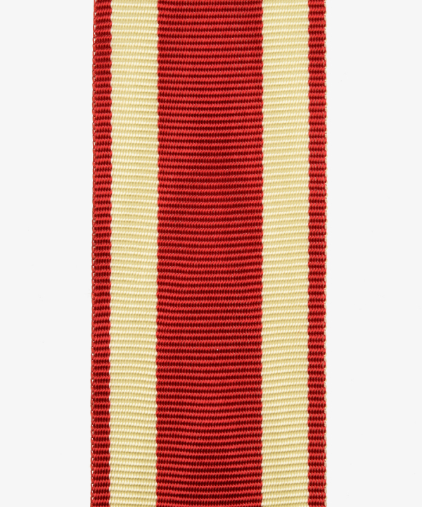 Hesse-Darmstadt, Service Medal for High Court Charges (51)